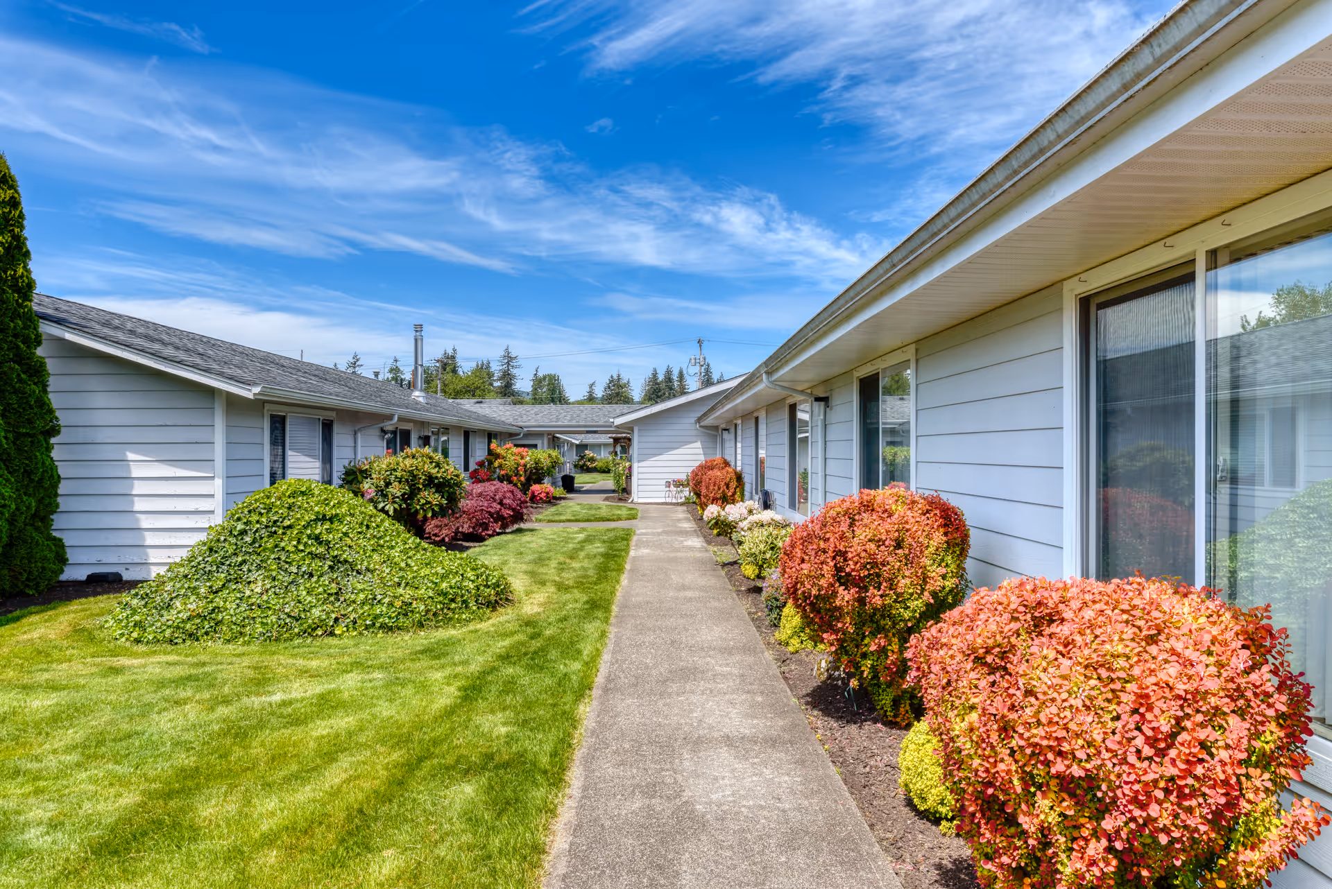 Walkway between single-story retirement units with manicured lawns and colorful shrubs under a blue sky.