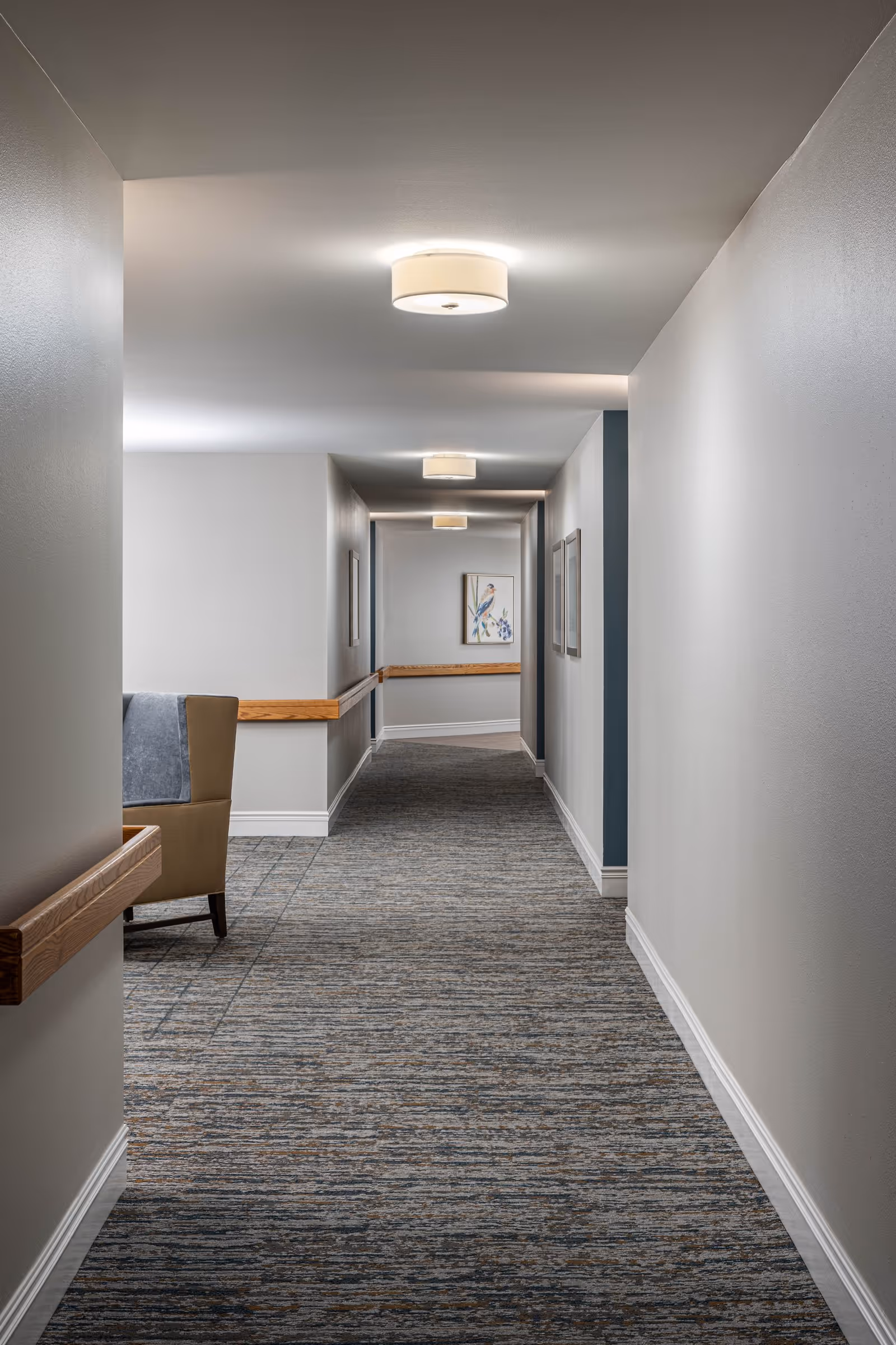 A long carpeted senior living hallway with wood handrails, ceiling lights and framed artwork on the walls.