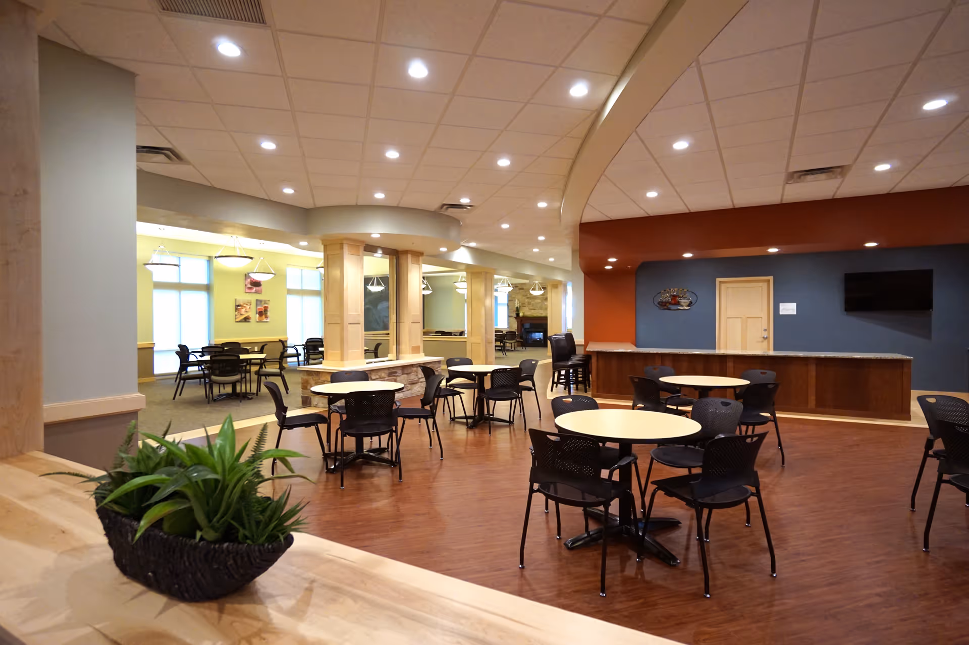 A spacious dining area with multiple round tables and black chairs arranged on a wooden floor. The room features a curved ceiling with recessed lighting, a counter area with a blue and red accent wall, and large windows in the background letting in natural light. A green plant in a black pot is visible in the foreground on a wooden surface.