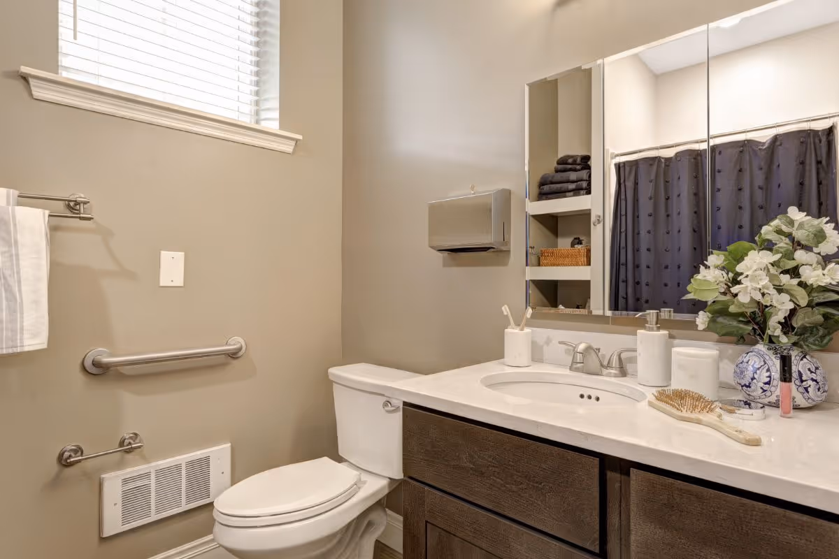 Modern accessible bathroom with a toilet, sink vanity and mirror, grab bars, and a shower with a dark curtain.
