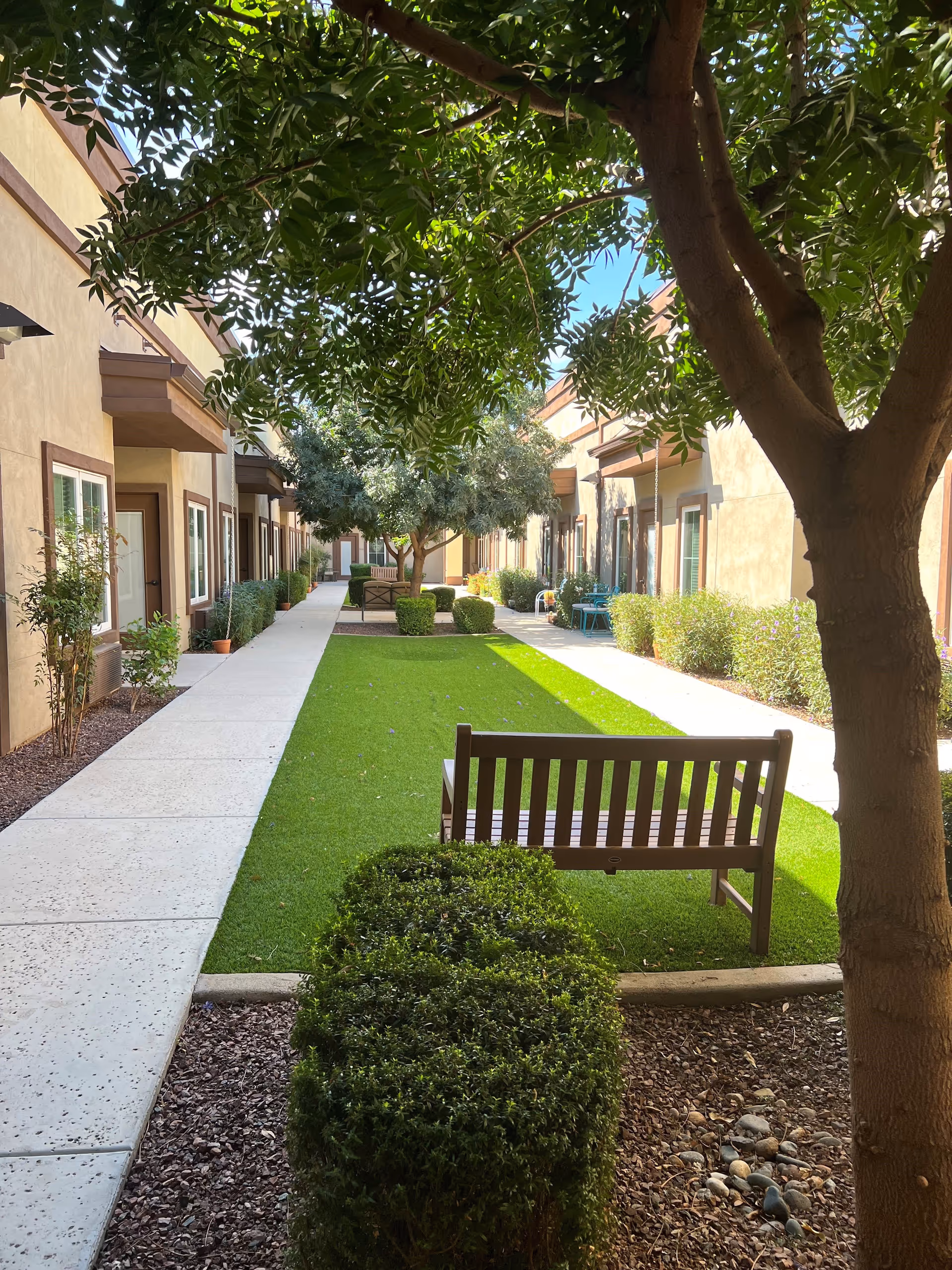 Outdoor courtyard area at Vineyard Park of Surprise with a green lawn, benches, trees, and shrubs. The courtyard is flanked by beige buildings with windows and doors, and there is a paved walkway along the sides.