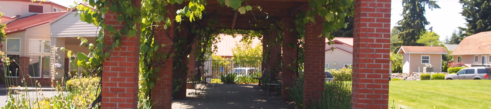 A shaded outdoor walkway with brick pillars covered in green vines, surrounded by grass and plants. In the background, there are residential-style buildings and parked cars under a clear sky.