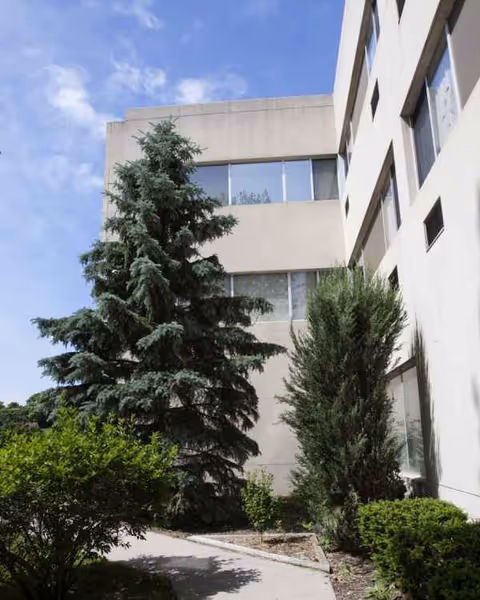 Exterior view of a beige senior living building with trees and a walkway.