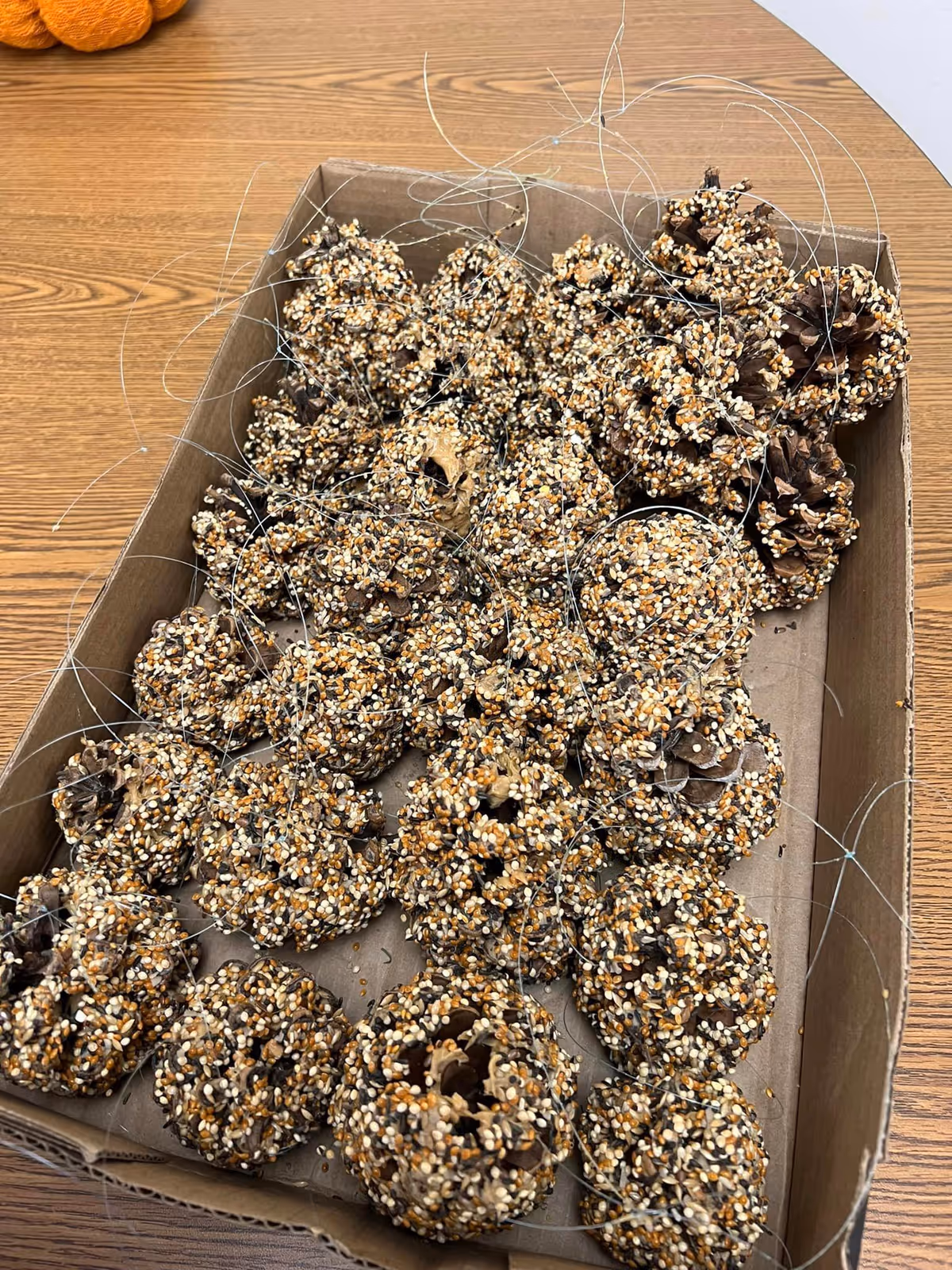 Cardboard box on a wood table filled with pine cones coated in birdseed with strings attached.