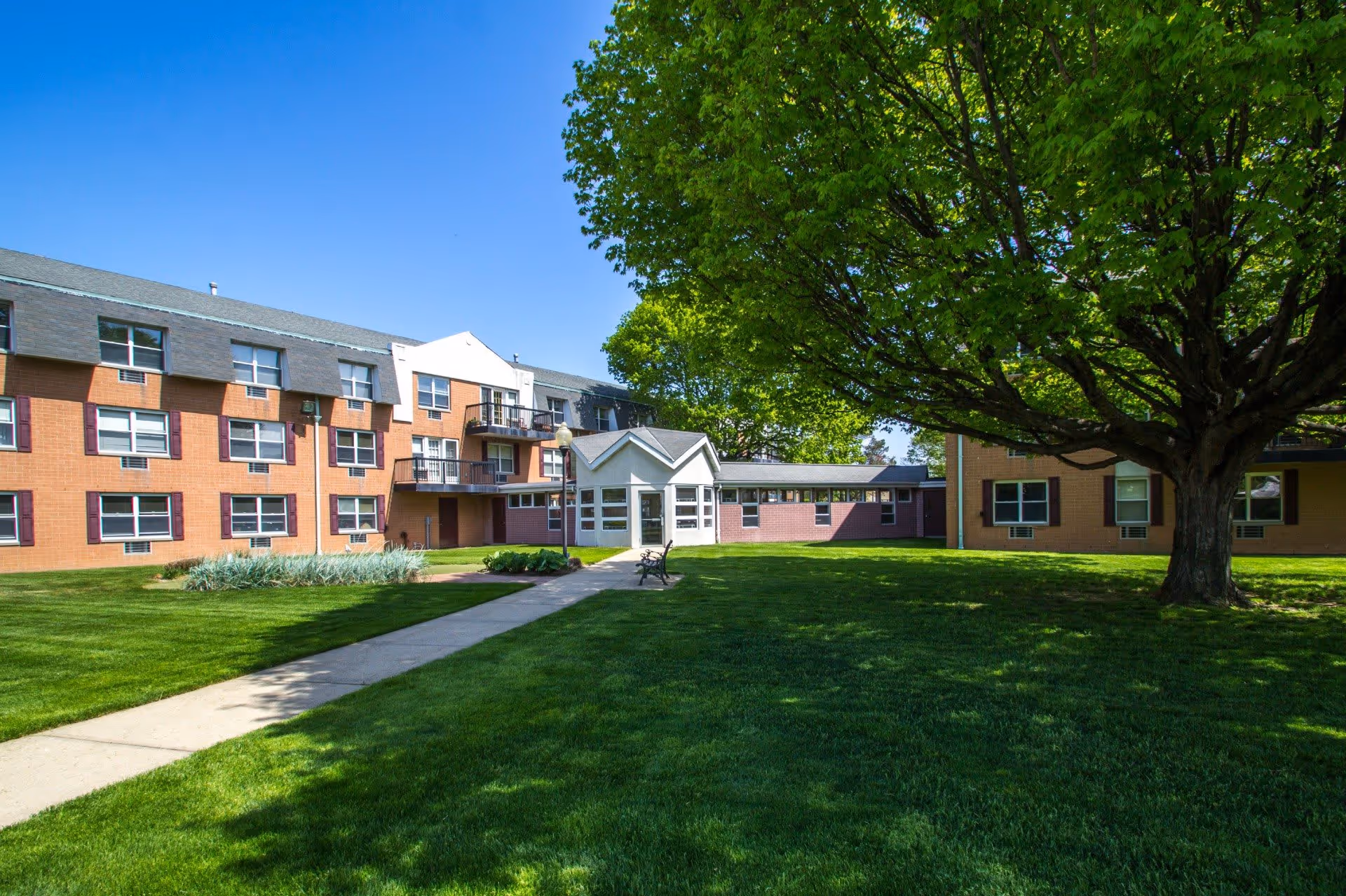 A sunny outdoor courtyard area of a senior living facility with a large green lawn, a concrete walkway, a bench, and a large leafy tree. The building is a multi-story brick structure with several windows and balconies.
