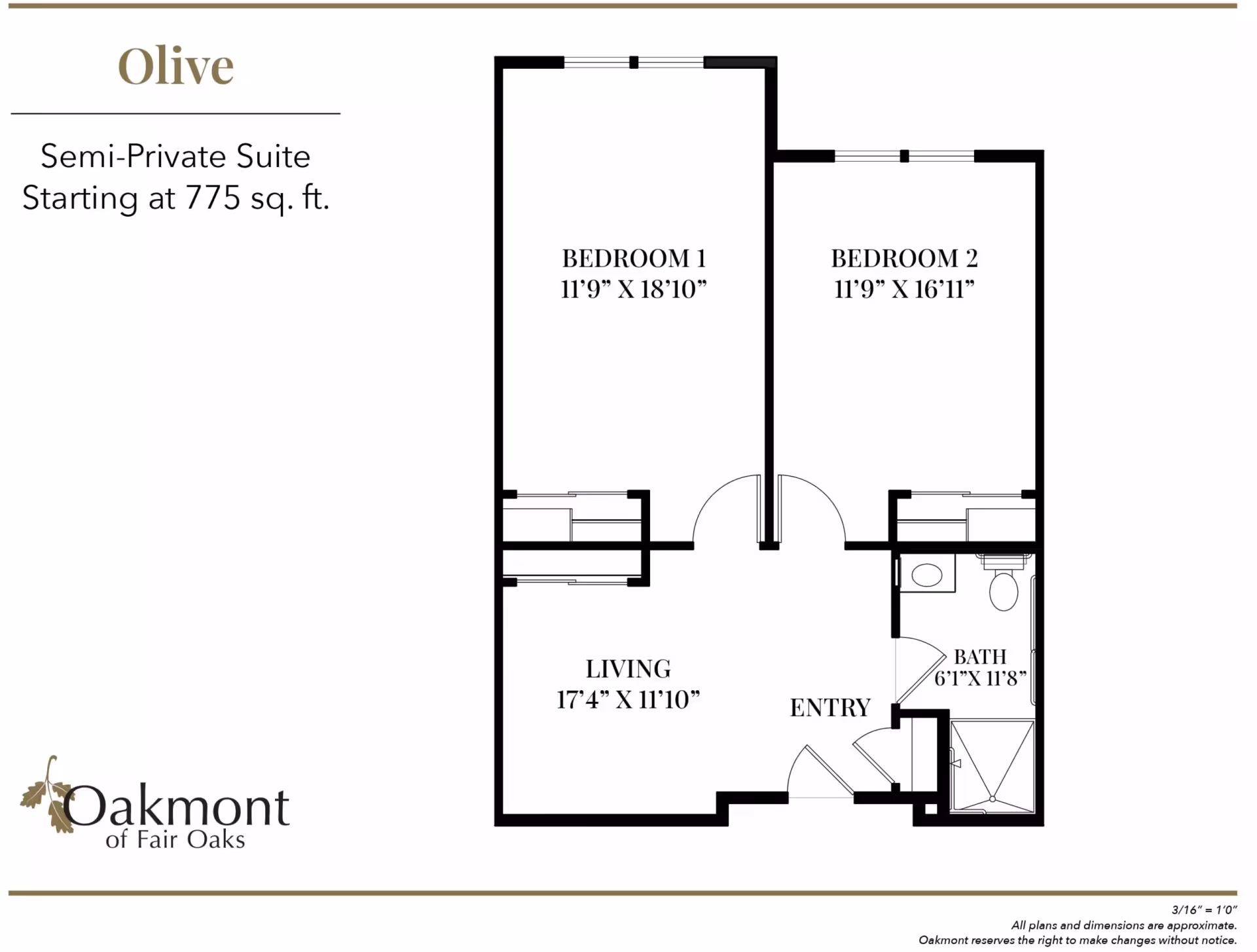 Floor plan titled "Olive" for a semi-private 775 sq. ft. suite showing two bedrooms, a living room, an entry, and a bathroom.