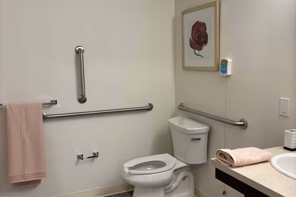 Accessible bathroom with a toilet, stainless steel grab bars, a sink countertop with folded pink towels, and framed artwork on the wall.