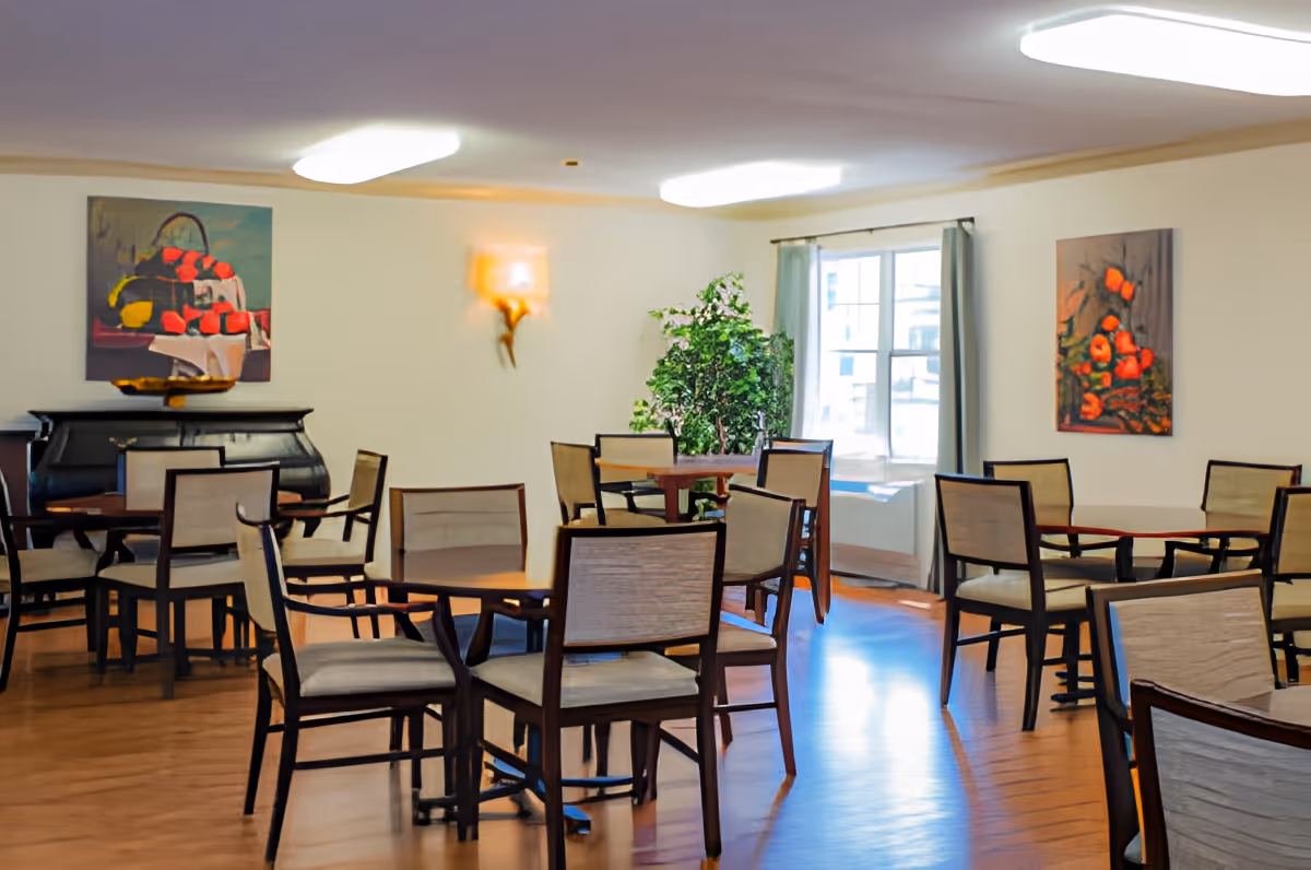 A bright dining room with multiple round wooden tables and cushioned chairs arranged around them. The room has wooden flooring, light-colored walls adorned with colorful paintings, a large window with curtains letting in natural light, and a green potted plant near the window.
