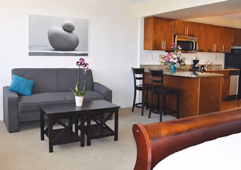 A cozy living area featuring a gray sofa with a teal pillow, a black coffee table with a potted orchid, and a kitchen area with wooden cabinets, granite countertops, two bar stools, and a microwave. A framed black and white abstract art piece hangs on the wall above the sofa.