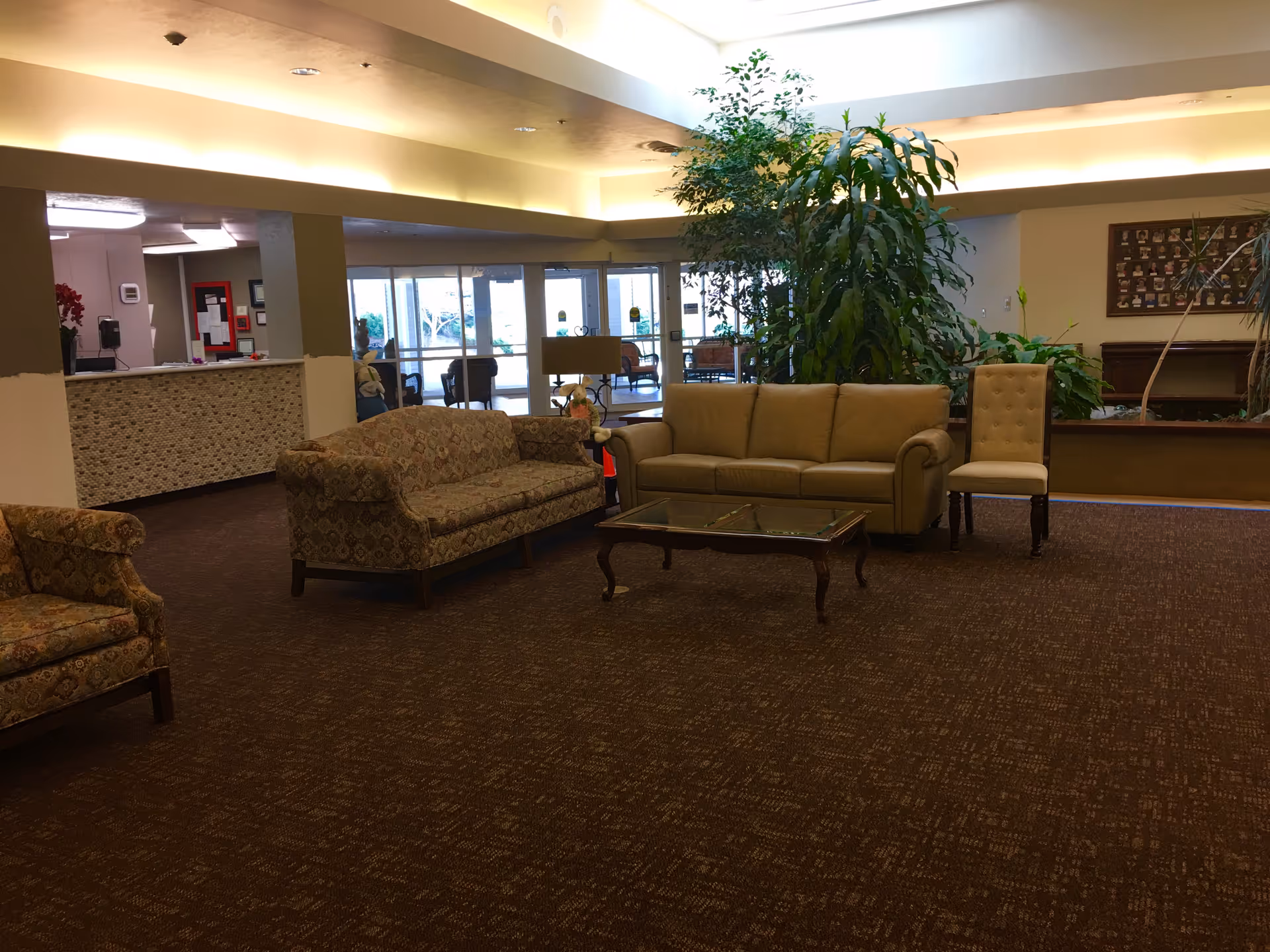 A spacious assisted living facility common area with patterned and plain sofas, a glass coffee table, a single upholstered chair, and large indoor plants. The area is well-lit with natural light coming from large windows and doors in the background. The reception desk is visible on the left side.
