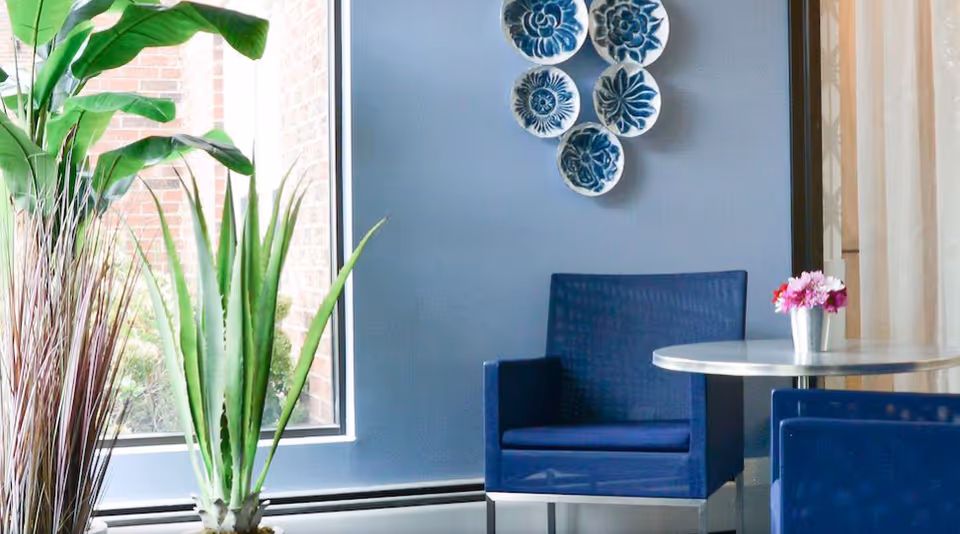 A modern interior seating area with blue armchairs and a round table with a small flower arrangement. There are decorative blue and white plates mounted on a light blue wall. Large green plants are placed near a window with a view of a brick wall outside.