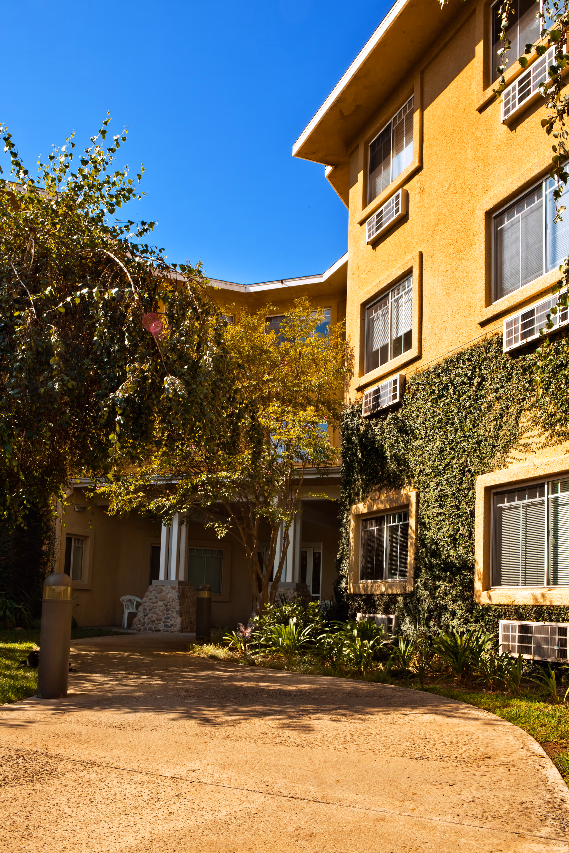 Exterior courtyard and entrance of a multi-story yellow stucco building with ivy on the walls, window air conditioners, and a curved paved walkway.