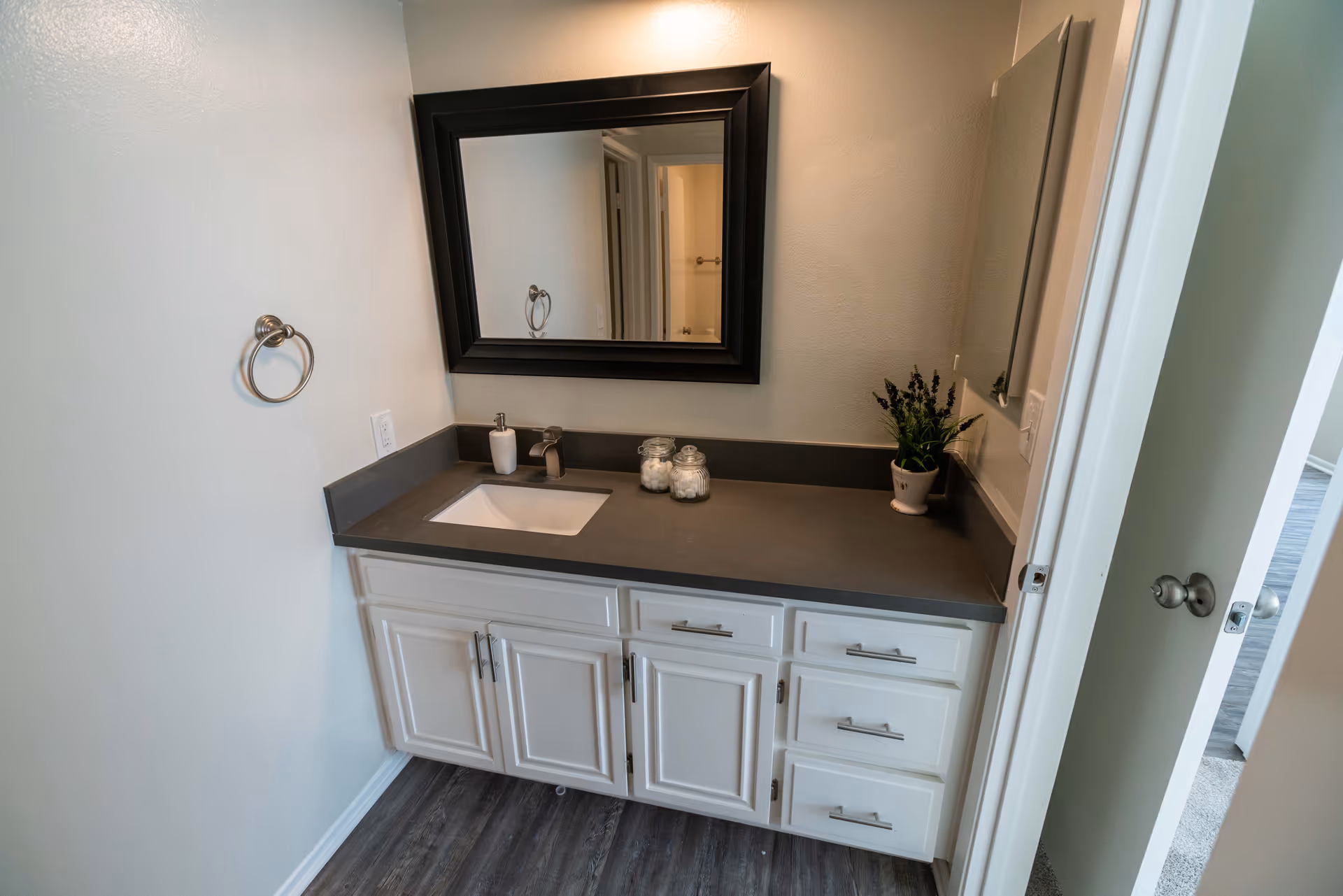 A clean bathroom vanity with a dark countertop, white cabinets, rectangular sink, framed mirror, and a small potted plant.