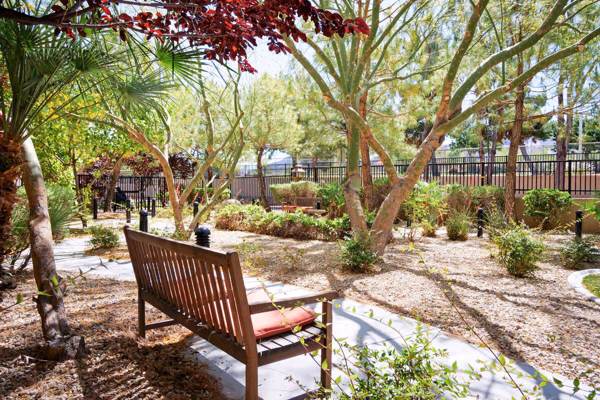 A peaceful outdoor garden area with a wooden bench featuring a red cushion, surrounded by trees, shrubs, and a gravel ground. A black metal fence encloses the garden, and sunlight filters through the foliage creating dappled shadows on the ground.