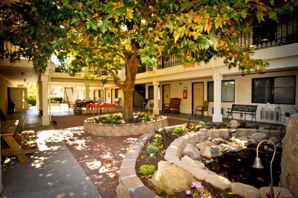 A shaded courtyard area in an assisted living facility featuring a large tree with green and yellow leaves in the center, surrounded by a circular stone planter. There is a small pond with rocks and plants on the right side, benches and chairs along the walls, and a covered walkway with doors to individual rooms. Sunlight filters through the tree leaves, creating dappled shadows on the ground.