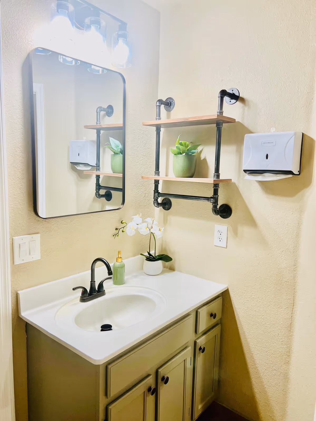 A bathroom sink area with a white countertop and an oval sink. Above the sink is a rectangular mirror with rounded corners and a light fixture with three bulbs. To the right of the mirror, there are two wooden shelves supported by black metal pipes, holding a green potted plant. A white paper towel dispenser is mounted on the wall next to the shelves. The walls are painted beige.