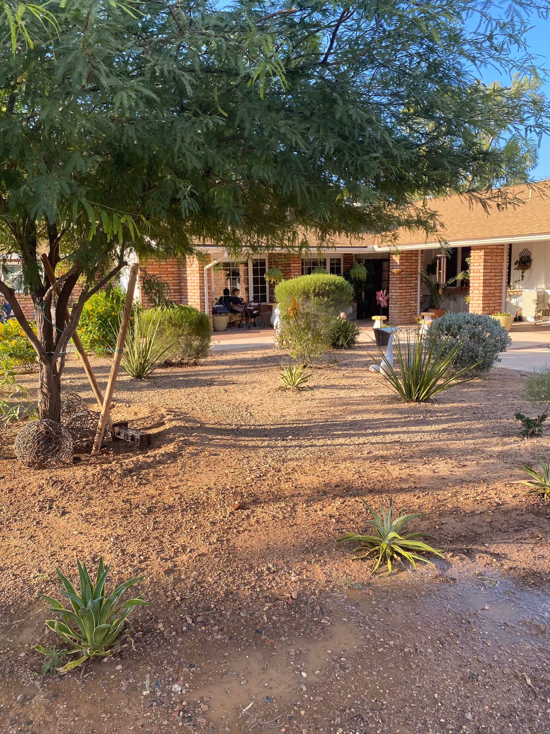 Outdoor garden area with various desert plants and shrubs in front of a brick building with covered porch. Two people are sitting on chairs on the porch under the shade of a tree.
