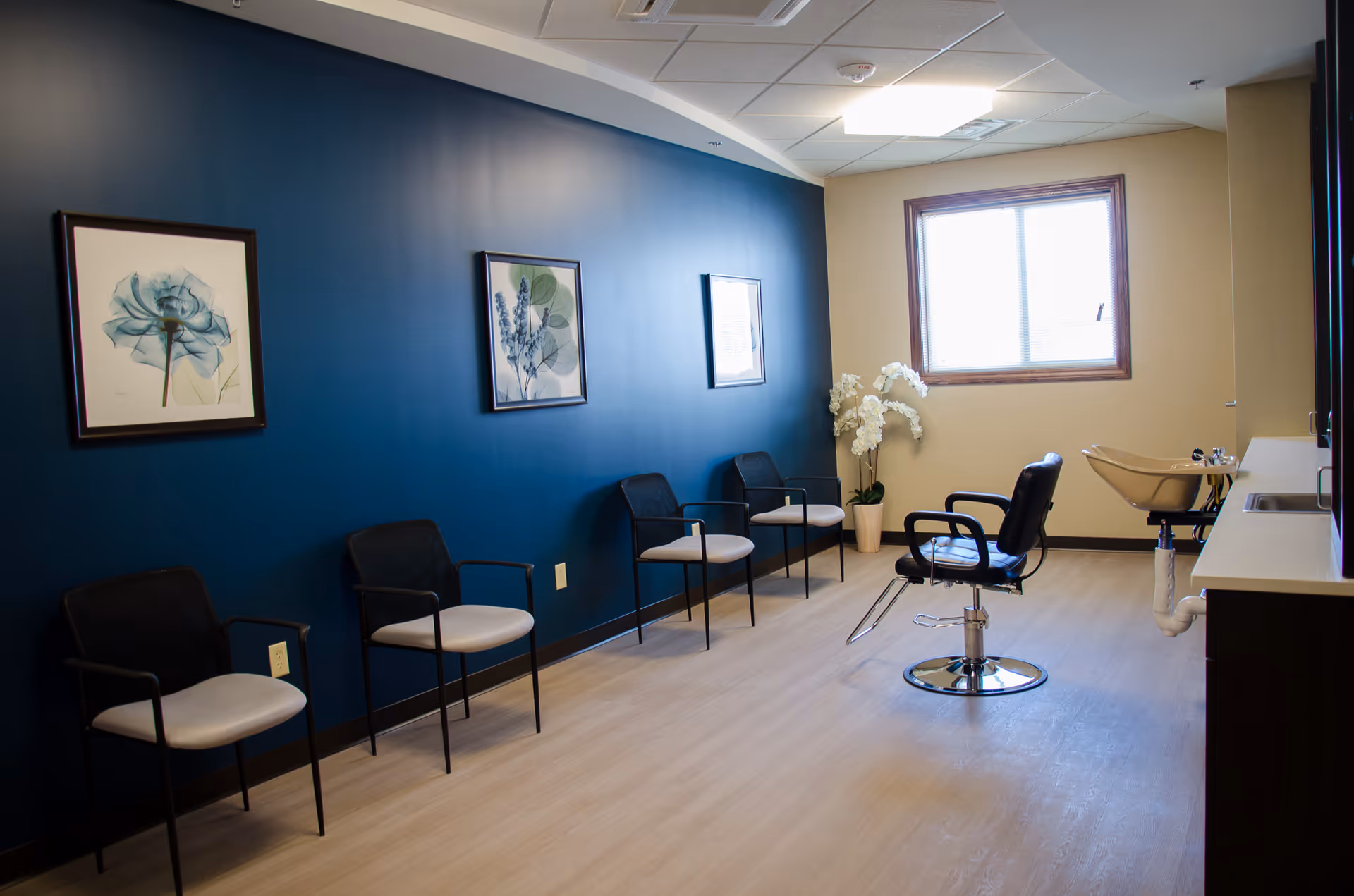 A clean and modern salon room with a row of four waiting chairs against a dark blue wall adorned with three framed botanical prints. There is a single black salon chair in front of a beige hair washing sink near a window with wooden trim. A potted white orchid plant is placed near the window, and the floor is light wood.