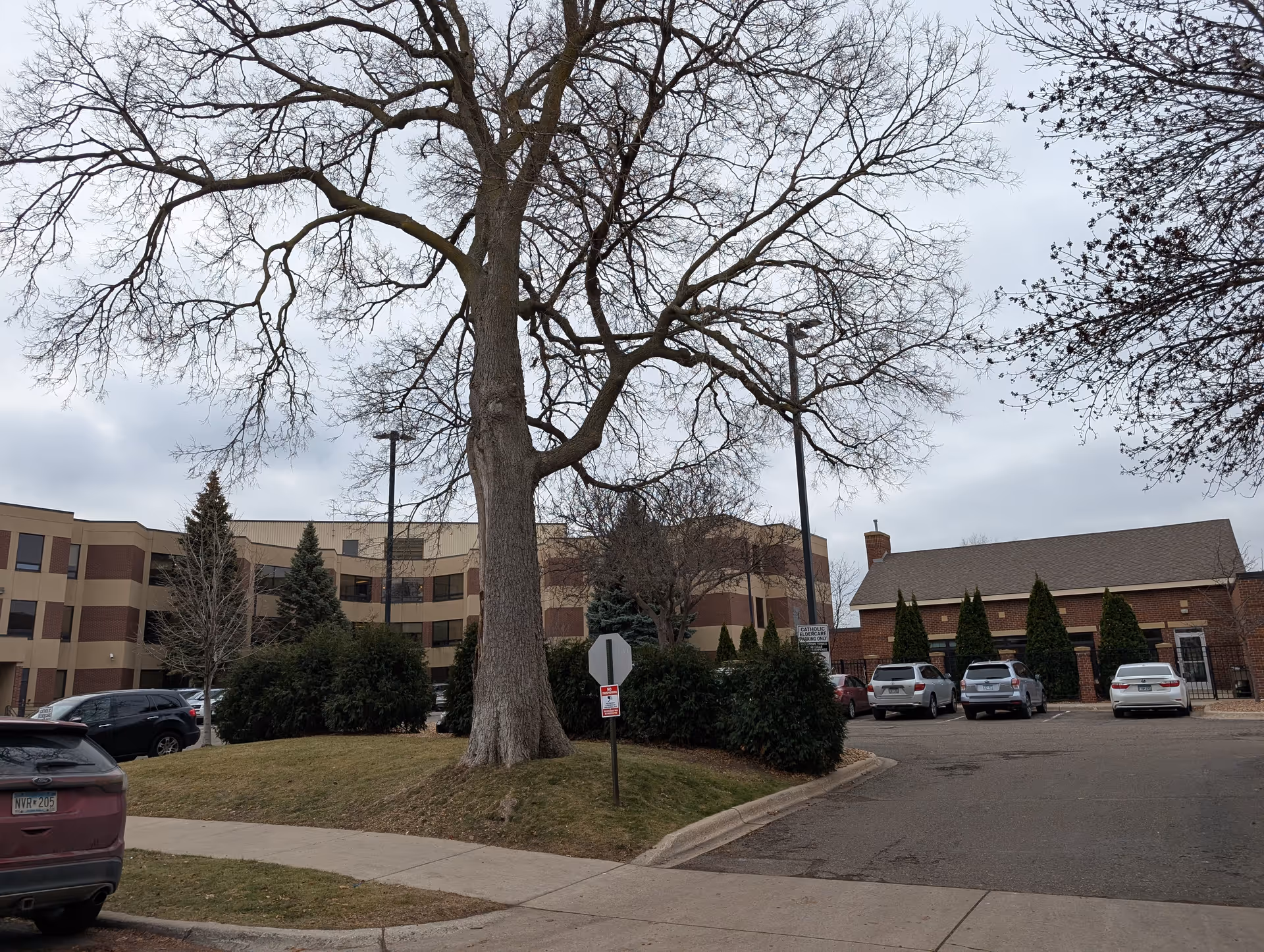 Exterior view of a senior living facility with a large tree in the foreground, several parked cars, and a multi-story building with beige and brown brick walls under a cloudy sky.