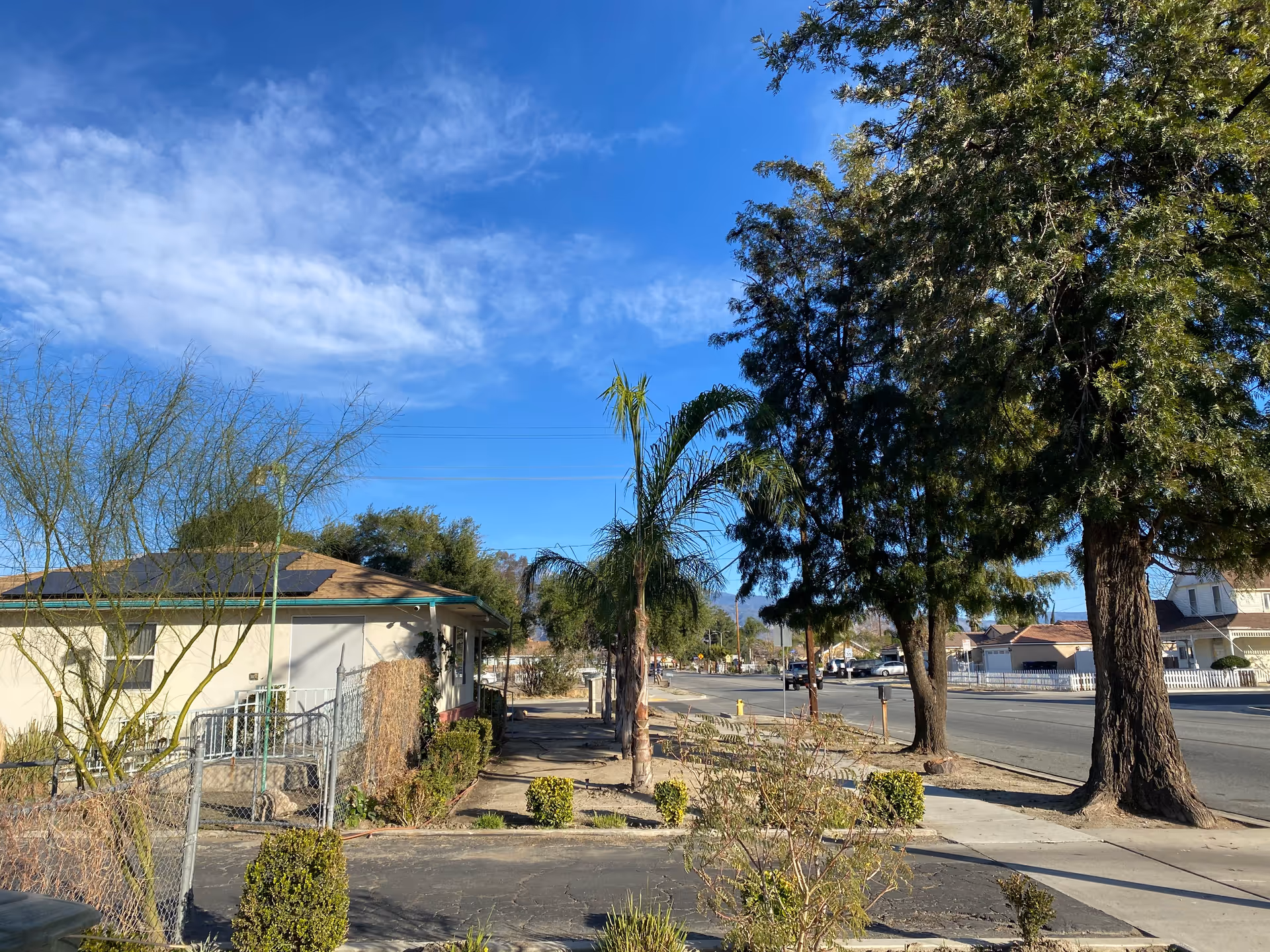 A sunny street view with a sidewalk lined by trees and bushes. On the left side, there is a single-story building with a fenced yard. The sky is clear with some scattered clouds.