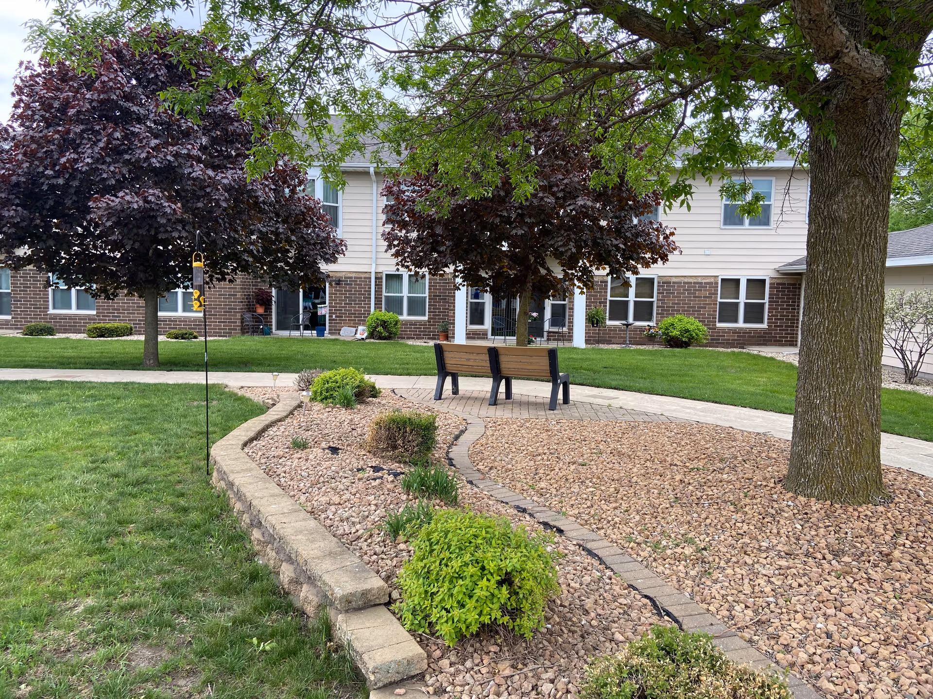 Outdoor garden area at The Meadows Senior Community featuring a paved walkway, two wooden benches, green grass, trees with dark red leaves, and a building with multiple windows in the background.