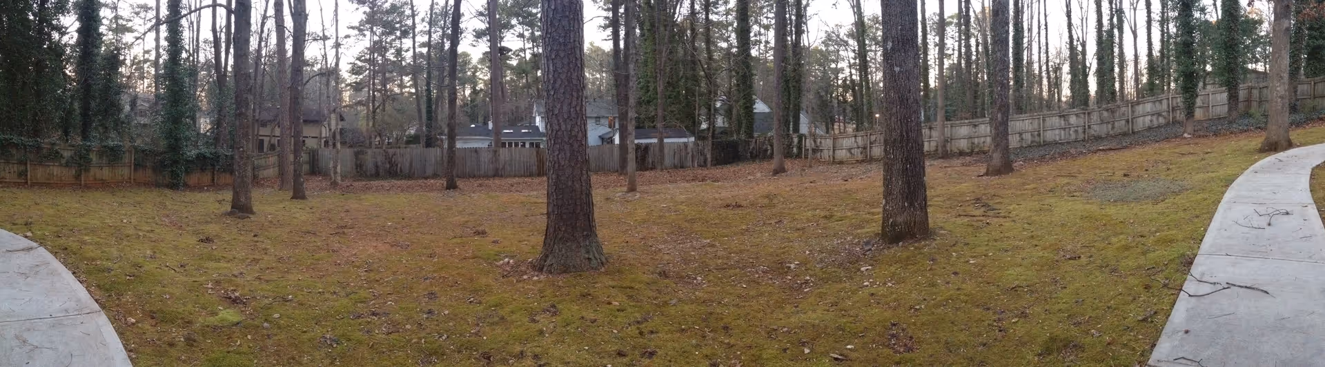 Panoramic backyard with scattered tall pine trees, a grassy lawn, surrounding wooden fence, and concrete walkways.