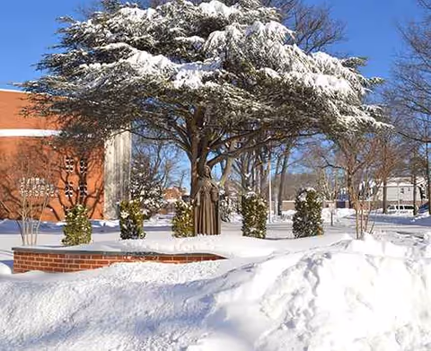 Snowy outdoor scene with trees and a brick building exterior.