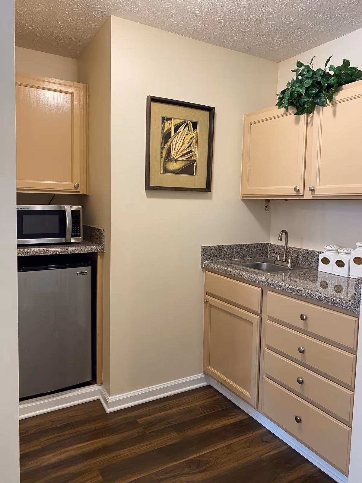 A small kitchen area with beige cabinets, a stainless steel microwave on the left countertop above a compact refrigerator, and a sink with a faucet on the right countertop. There is a framed artwork on the wall and a green leafy plant on top of the right cabinets. The floor is wooden.