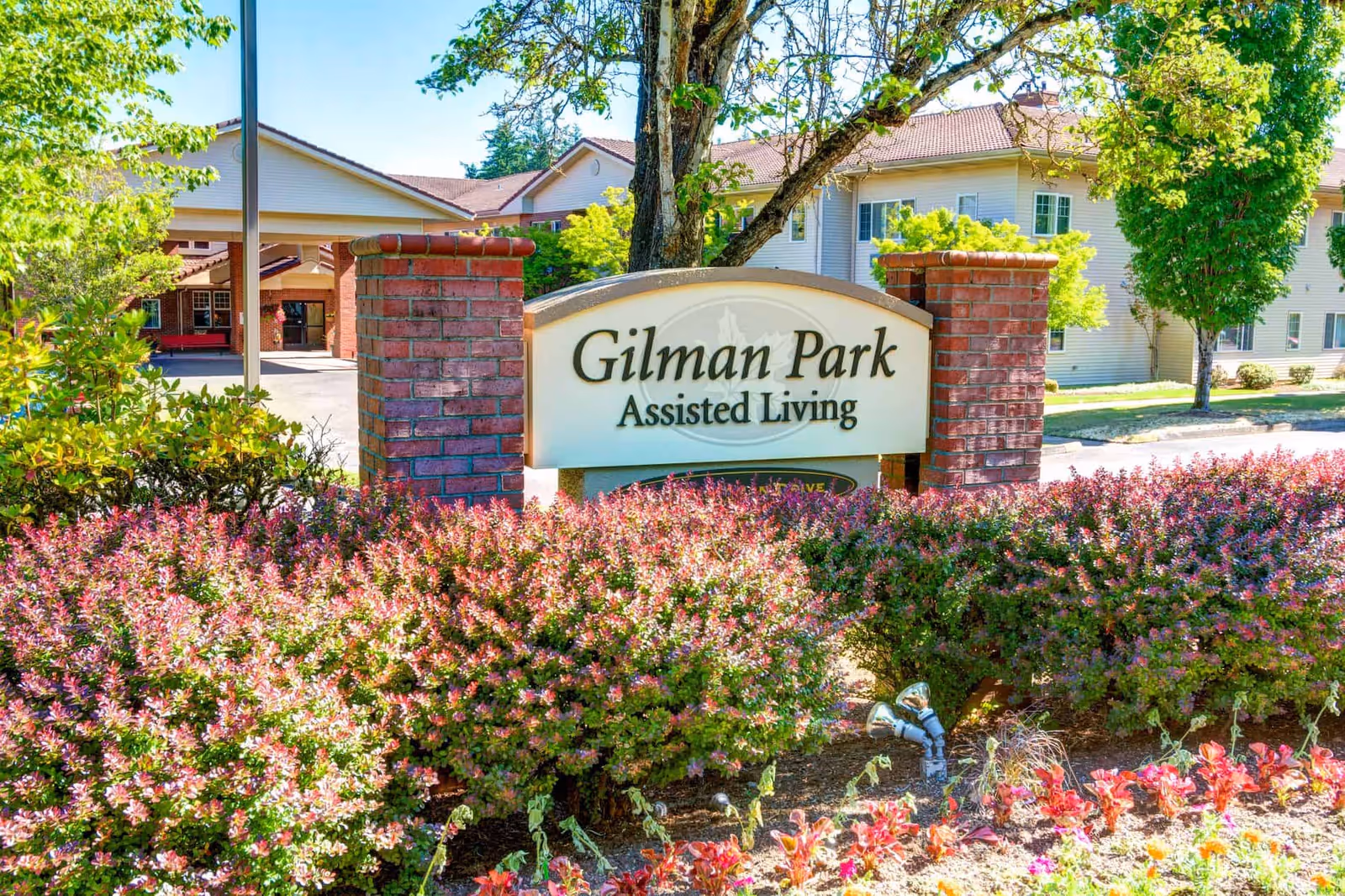 Photo of Gilman Grove