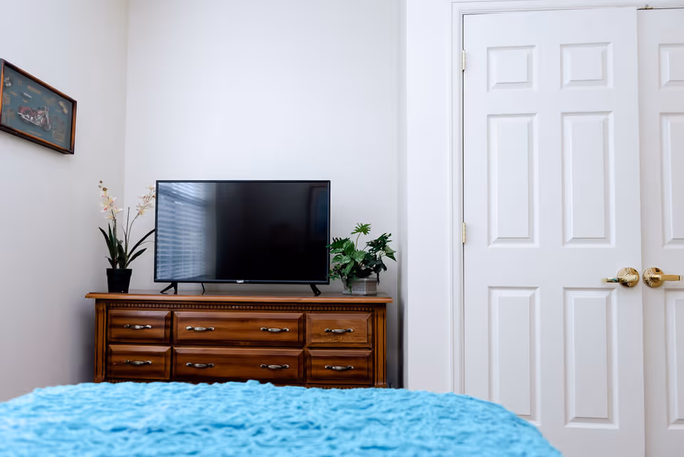 A bedroom interior featuring a wooden dresser with a flat-screen TV on top, flanked by two potted plants. A blue textured blanket is visible in the foreground, and a white double-door closet is on the right side of the image. A framed picture hangs on the left wall.