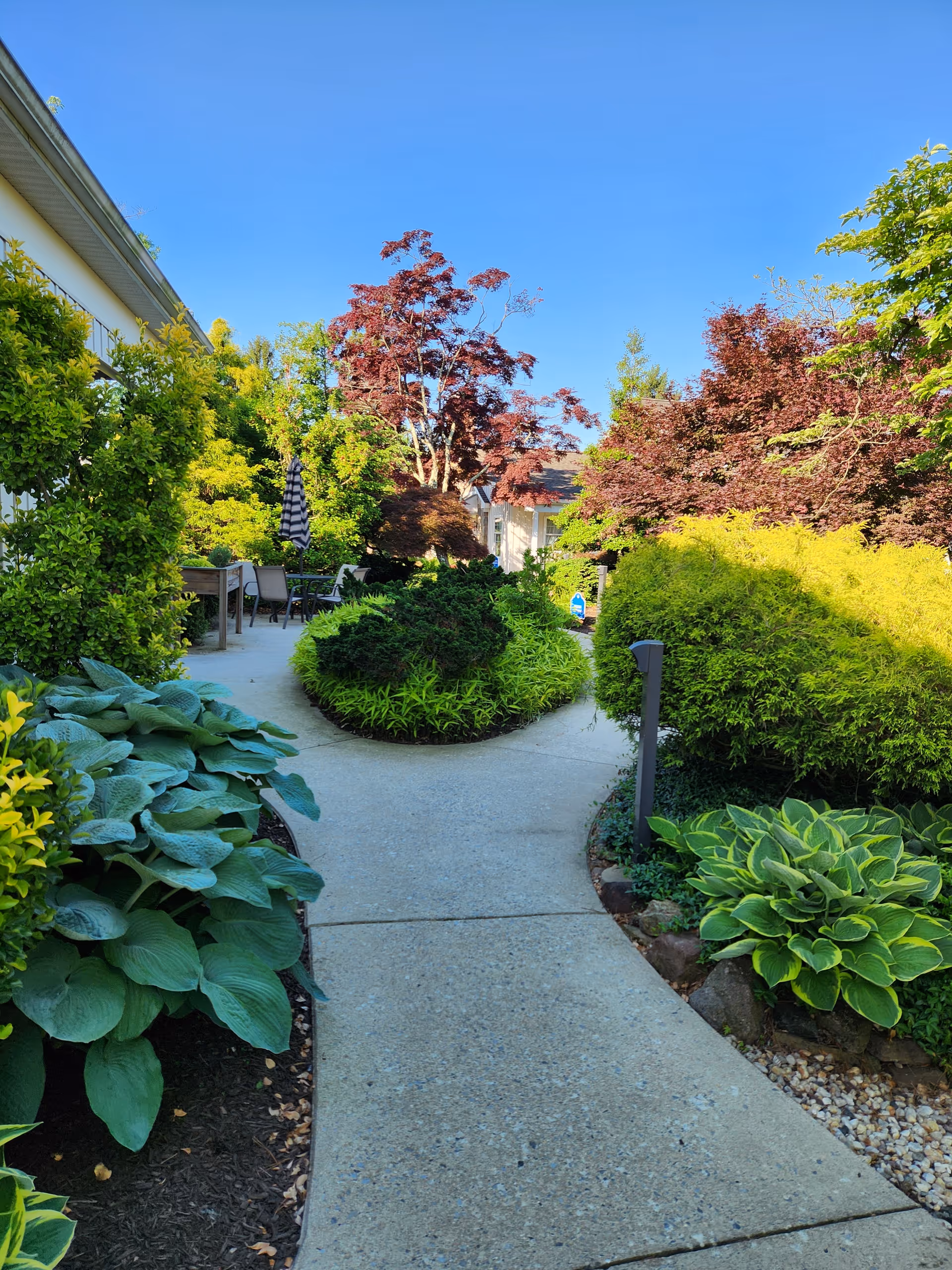 A paved walkway winding through a lush garden with various green and red-leaved bushes and plants on either side. There are outdoor chairs and a table with a striped umbrella visible in the background, under a clear blue sky.