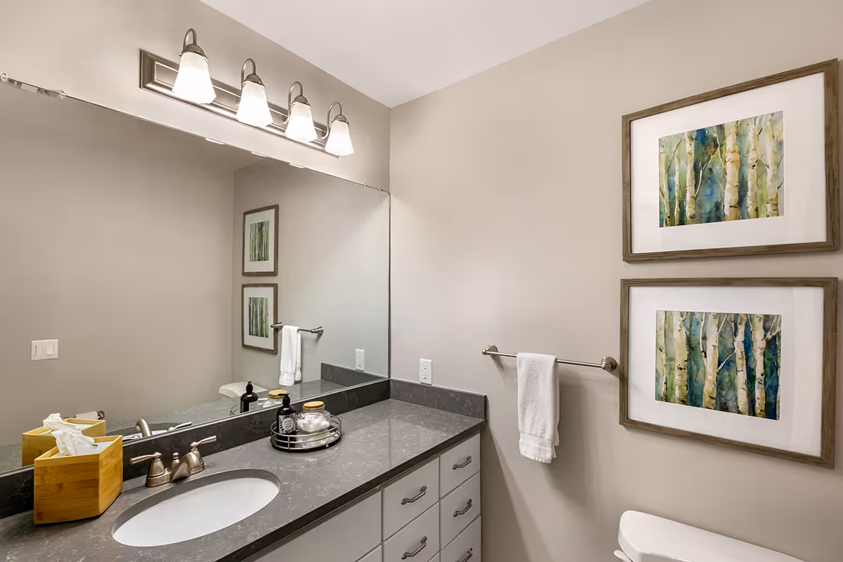 A clean and modern bathroom featuring a large mirror above a gray countertop with a built-in sink. On the countertop, there is a wooden tissue box, a soap dispenser, and a small tray with toiletries. Above the mirror, there are four light fixtures. On the wall to the right, two framed pictures of birch trees are hung above a towel rack holding a white towel. Part of a toilet is visible below the pictures.
