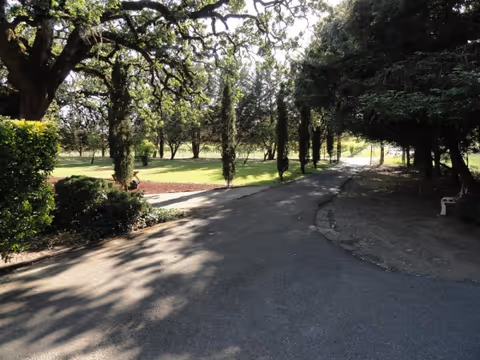 Shaded paved path winds through a tree-lined outdoor area with benches.