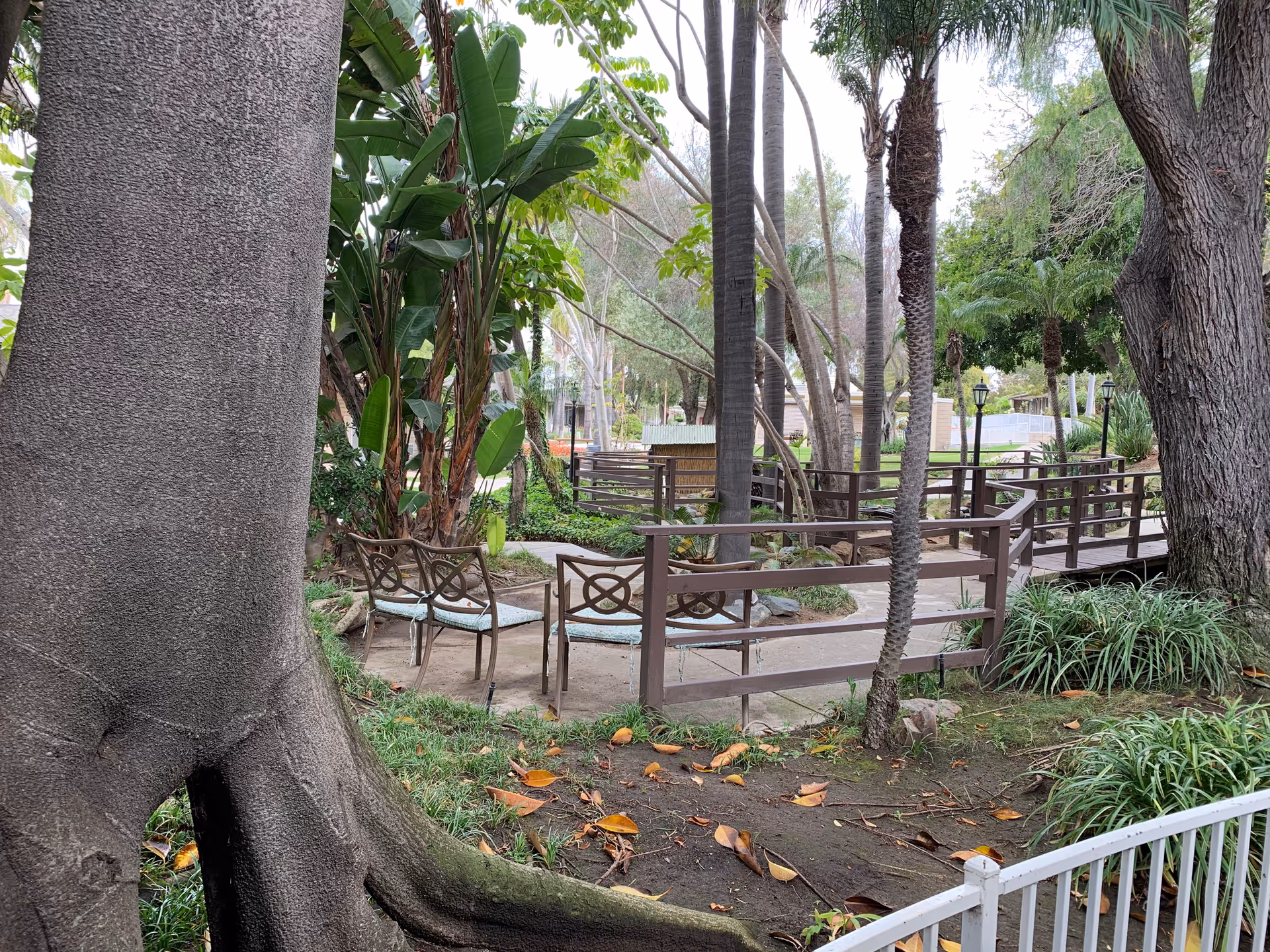 Outdoor garden area with large trees, a wooden walkway/bridge and metal chairs around a small paved seating spot.