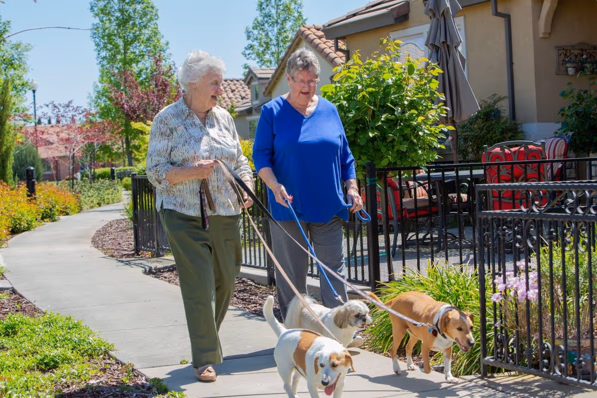 Two elderly women walking three dogs on leashes along a paved pathway in a garden area with greenery and flowers, next to a building with outdoor seating and umbrellas.