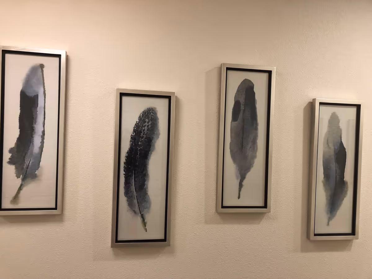 Four framed watercolor paintings of feathers in shades of black, gray, and blue hanging on a beige wall.