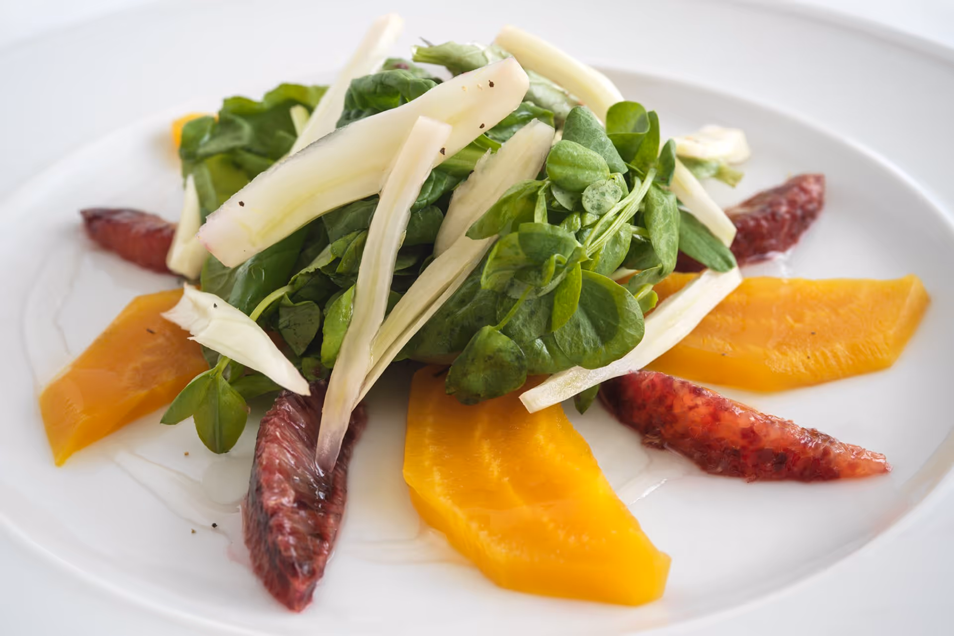 A close-up of a fresh salad on a white plate featuring leafy greens, thin white vegetable strips, yellow beet slices, and segments of blood orange.