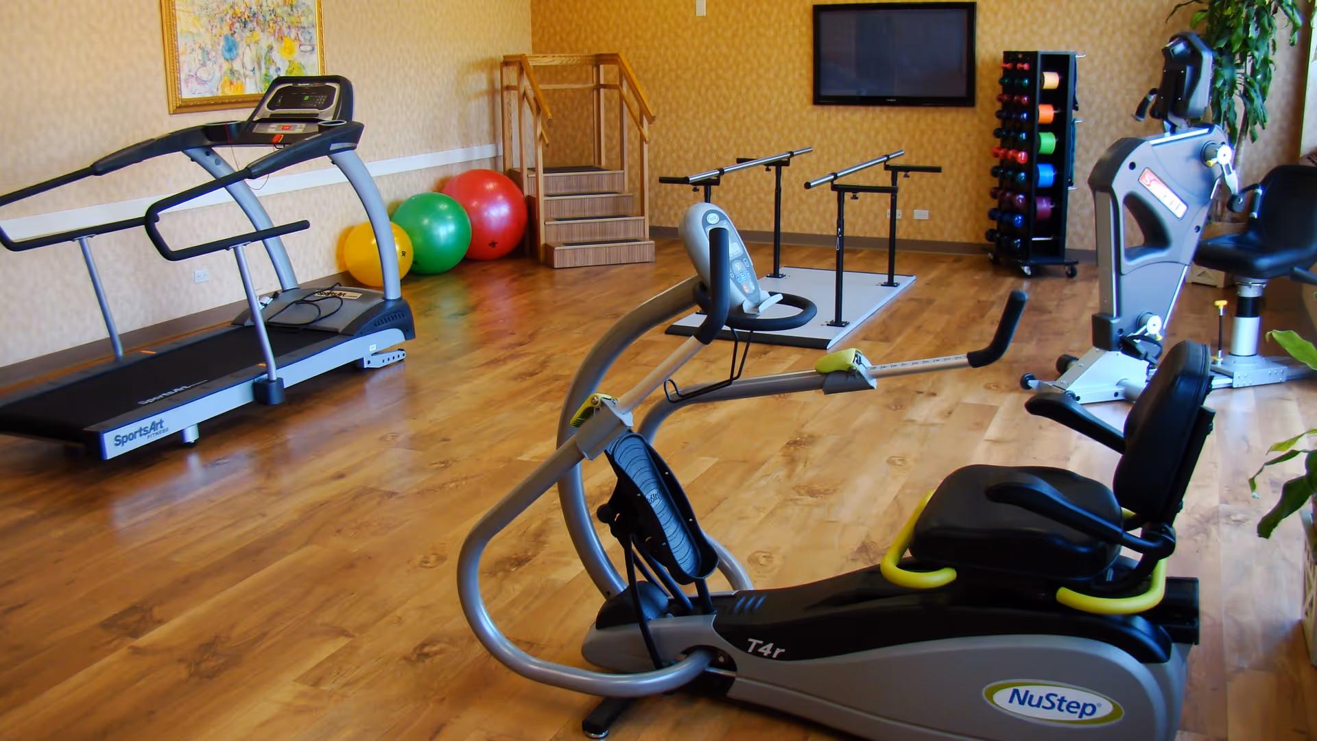 A fitness room with exercise equipment including a treadmill, a recumbent exercise bike, a set of stairs for physical therapy, colorful exercise balls, a rack of dumbbells, and a wall-mounted TV. The room has wooden flooring and patterned wallpaper.