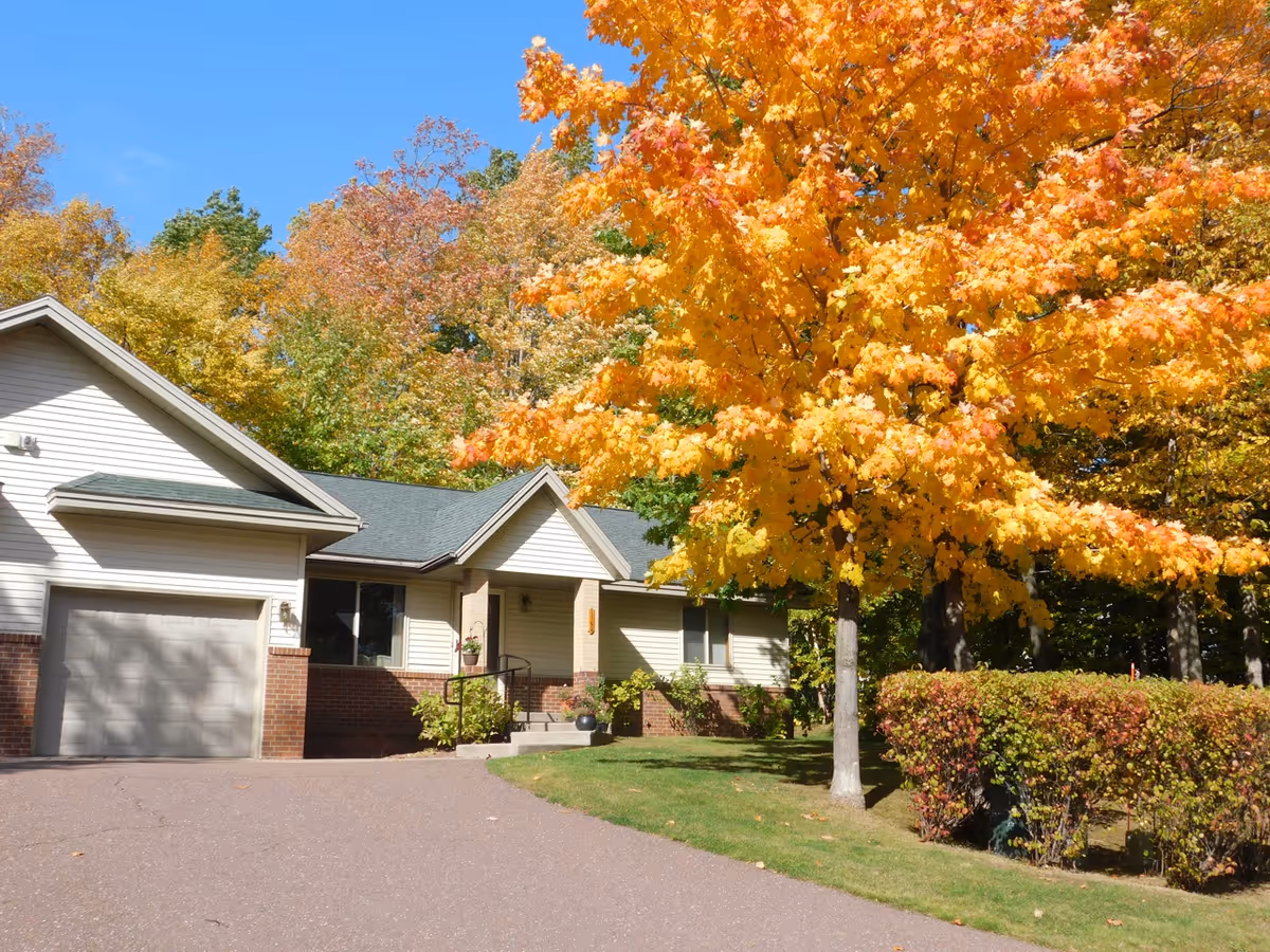 Single-story house with an attached garage and a large yellow-leaved tree in the front yard during autumn.