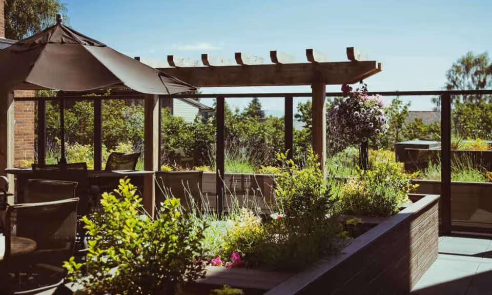 Outdoor patio area with a wooden pergola, a large umbrella shading a table with chairs, and various green plants and flowers in raised garden beds under a clear blue sky.