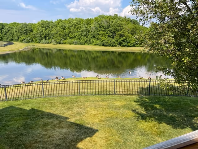 Grassy backyard with a black metal fence overlooking a pond where geese swim near a tree-lined shore under a partly cloudy sky.