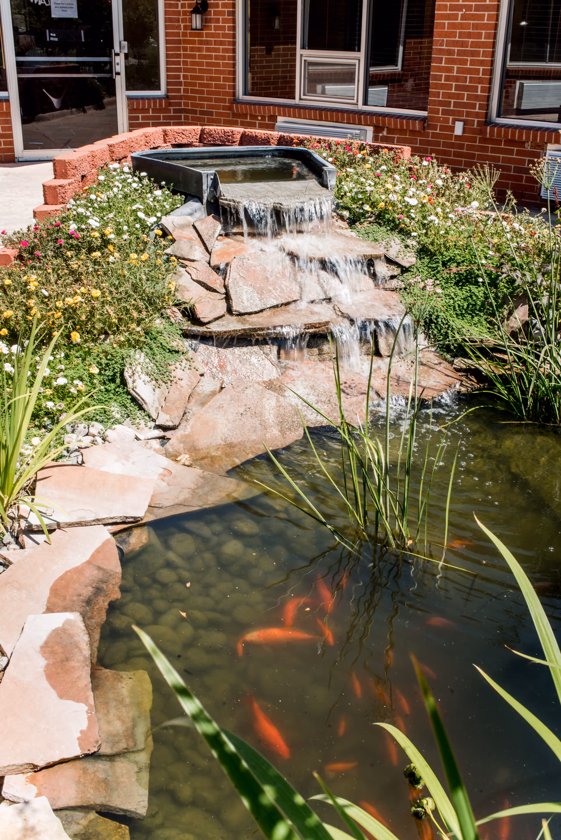 Outdoor garden area with a small waterfall flowing over rocks into a pond containing several orange fish. The pond is surrounded by plants and flowers, with a brick building and windows in the background.
