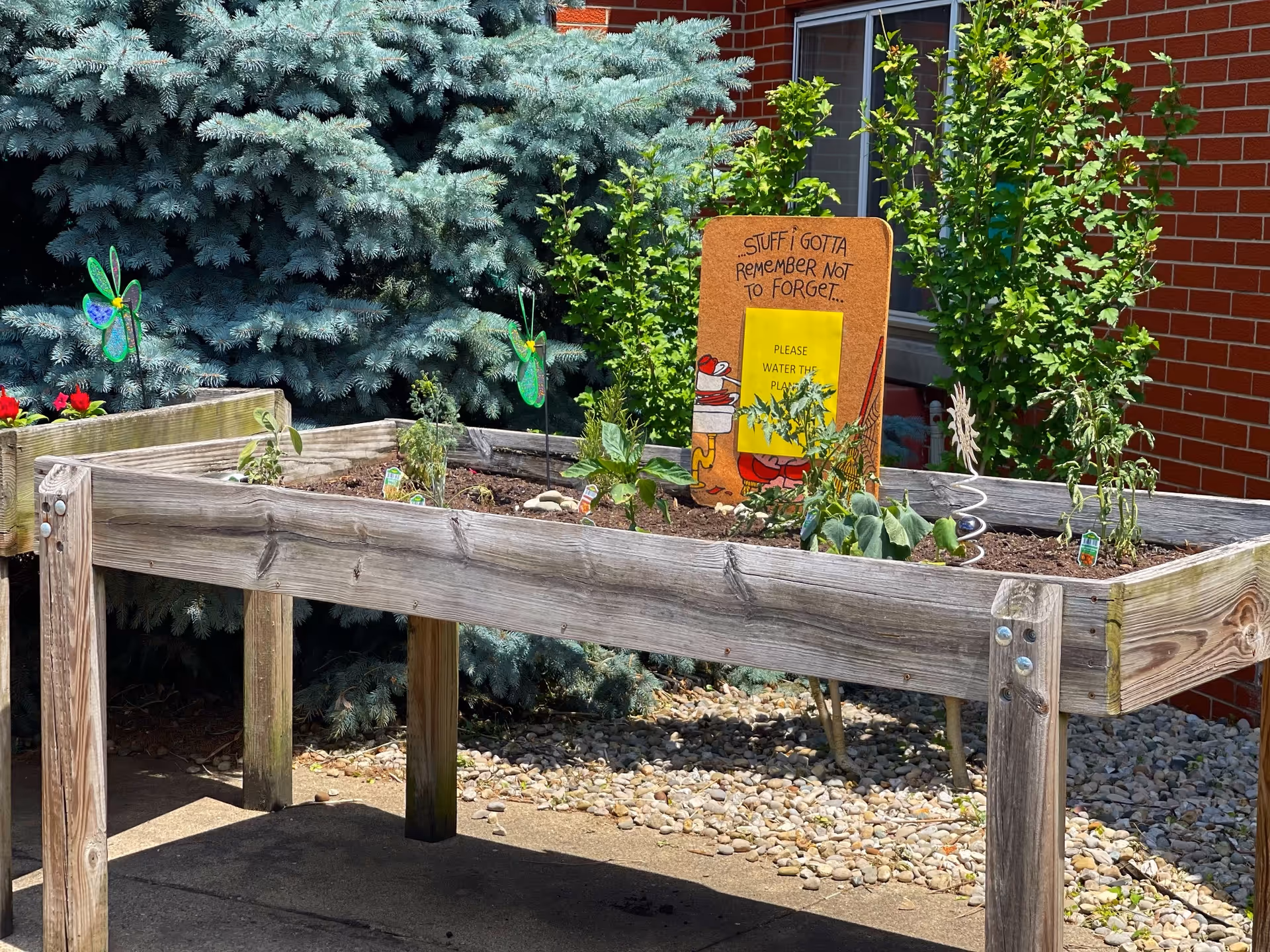 A raised wooden garden bed with various small plants growing in soil, placed outdoors near a brick building and a large evergreen tree. A colorful sign in the garden bed reads 'STUFF I GOTTA REMEMBER NOT TO FORGET... PLEASE WATER THE PLANTS'. Two decorative green and blue pinwheels are also placed in the garden bed.