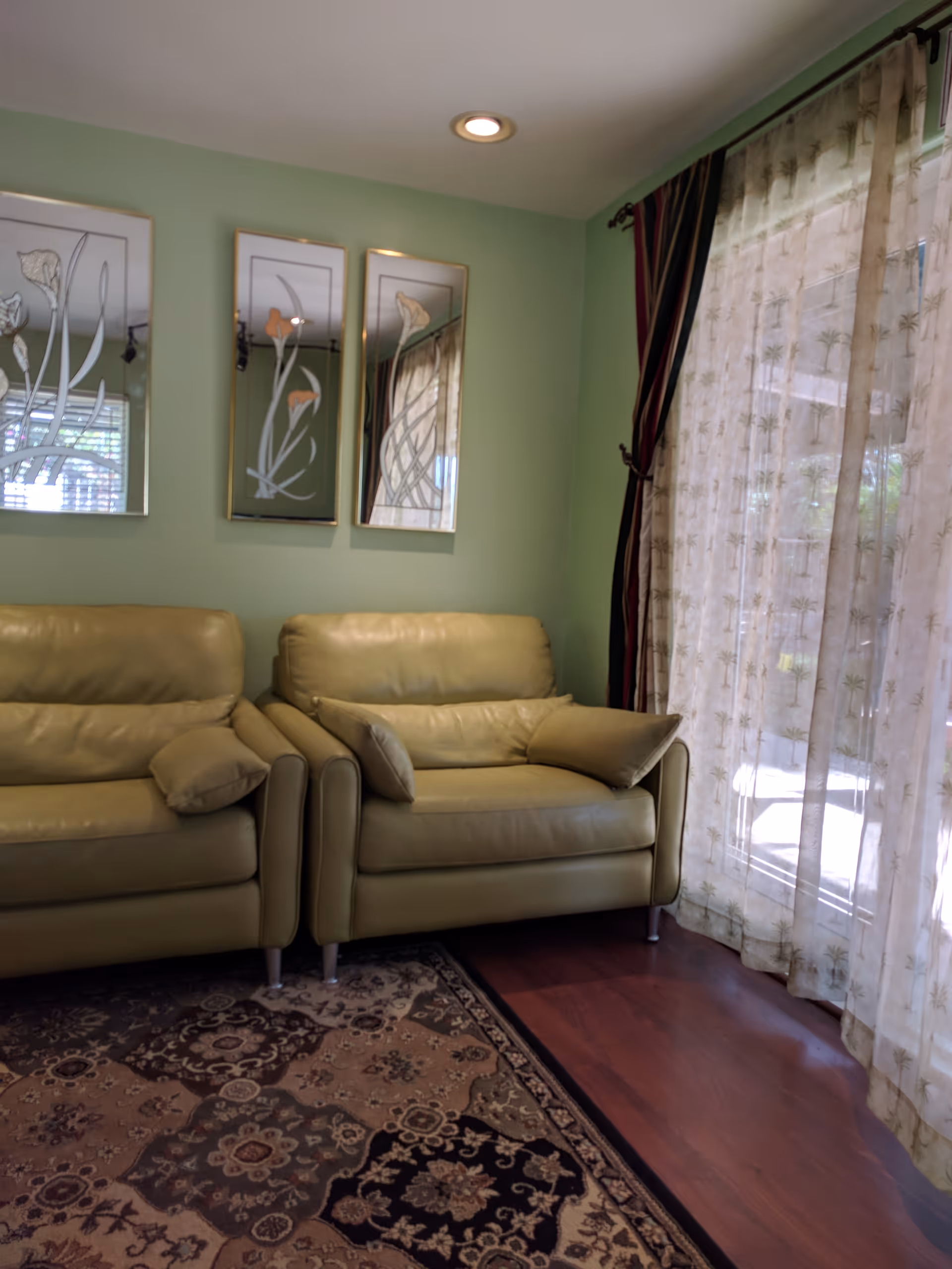 A cozy living room area with two light green leather armchairs placed on a patterned rug. The wall behind the chairs is painted light green and decorated with three vertical mirrors featuring floral designs. To the right, sheer curtains with a palm tree pattern cover a large window or glass door, allowing natural light to filter into the room.