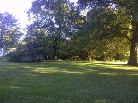 Sunlit grassy lawn with tall trees and shaded areas.