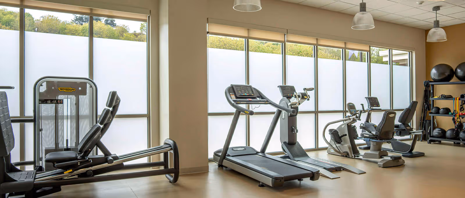 A fitness room with exercise equipment including a rowing machine, treadmill, stationary bikes, and shelves with exercise balls and weights. Large windows with frosted lower panels allow natural light to fill the room.