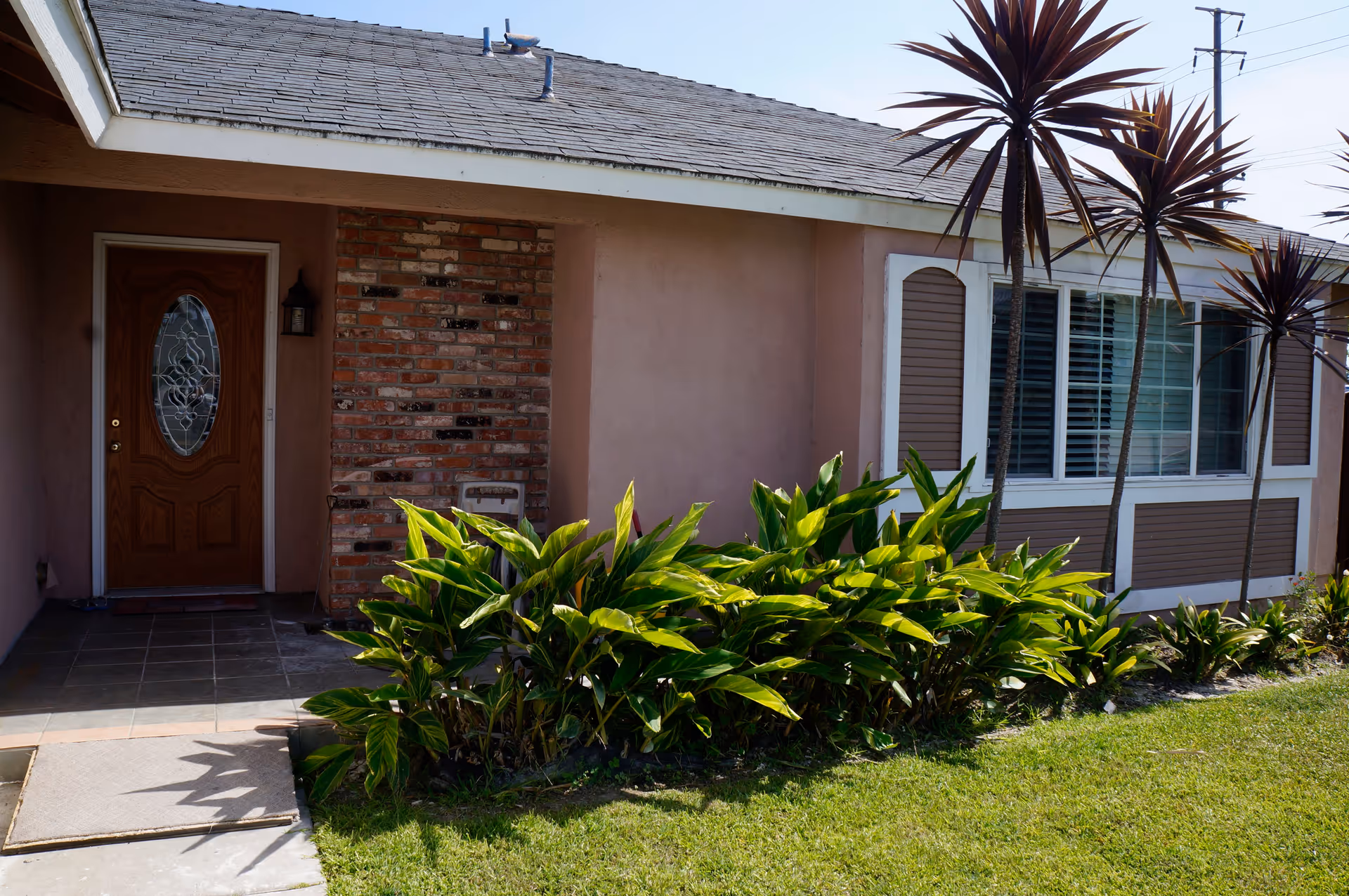 Front exterior view of a single-story house with a wooden door featuring an oval glass design, a brick accent wall, several tall palm-like plants, green leafy shrubs, and a well-maintained lawn under a clear sky.