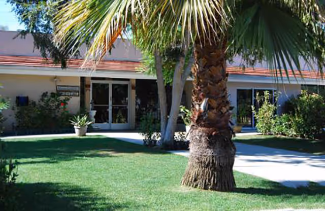 Outdoor view of Abbey Road Villa showing a green lawn with a large palm tree in the foreground, a concrete walkway, and a single-story building with glass doors and windows surrounded by plants and shrubs.