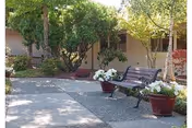 Outdoor courtyard area with a paved walkway, a black metal bench, and large flower pots filled with white flowers. Trees and shrubs surround the area, and a building with beige walls and windows is visible in the background.