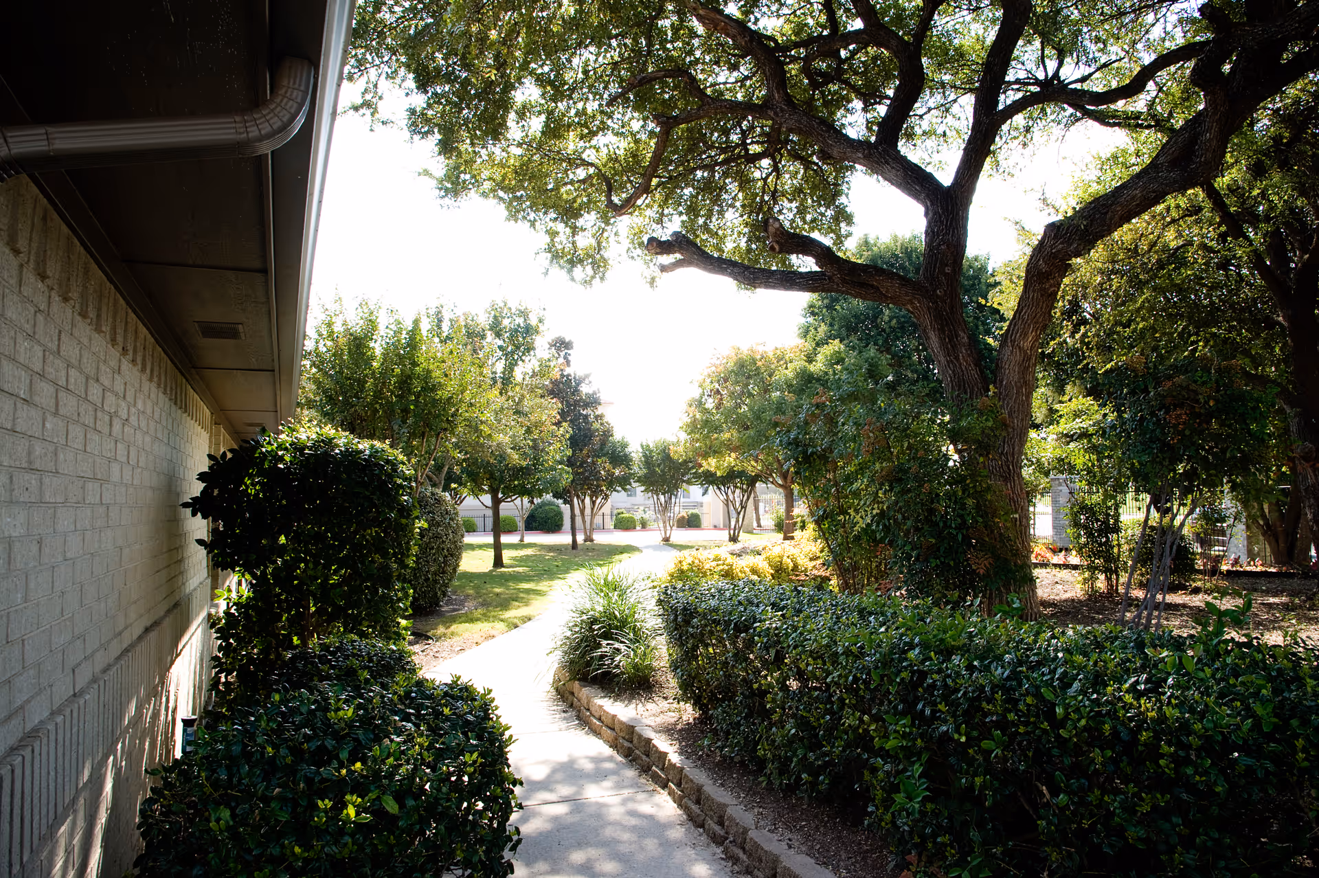 A sunlit outdoor garden area with a paved walkway winding through trimmed bushes and trees next to a building with a brick exterior wall.